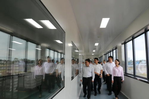 省市場(chǎng)監(jiān)管局局長(zhǎng)萬鵬龍調(diào)研我市食品安全工作要求 壓實(shí)主體責(zé)任加強(qiáng)監(jiān)管力度