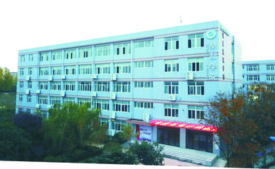 陜西職業(yè)技術(shù)學院2020年單獨考試招生簡章