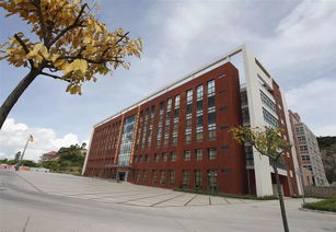 珠海金灣5所本科高校投檔線公布，職業教育培訓助力學子成才